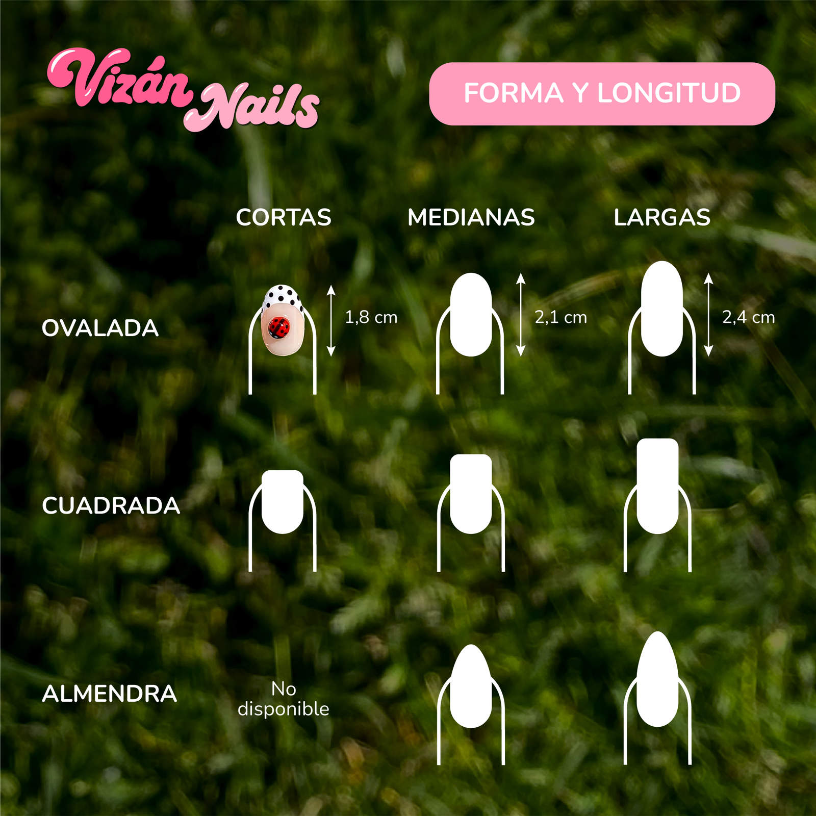 Polka Spring
