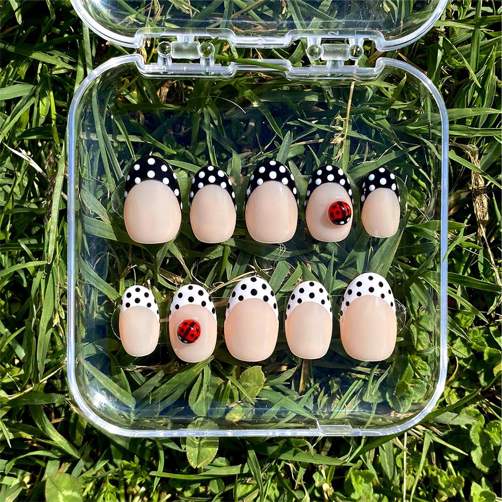 Polka Spring